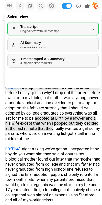 View mode selector showing Transcript, AI Summary, and Timestamped AI Summary options